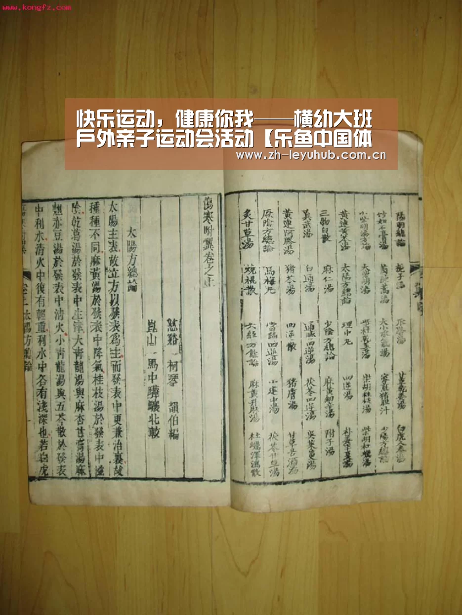 快乐运动,健康你我——横幼大班户外亲子运动会活动【乐鱼中国体育】(图4) 乐鱼体育